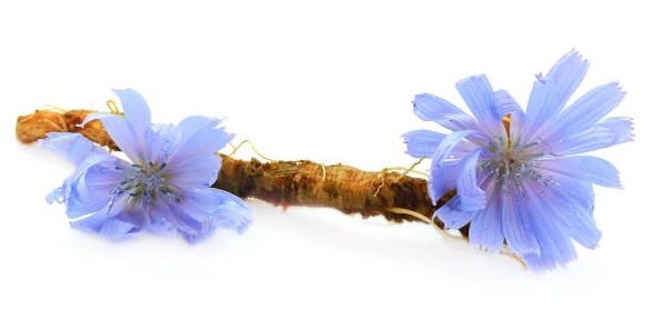 Magicoa contains chicory inulin